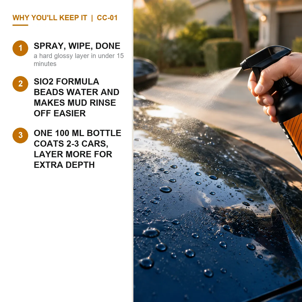 SiO2 Ceramic Coating Spray Kit, 100 ml